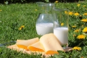 Ингибирующие вещества в молоке