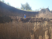 Произведен расчет размера вреда, причиненного почве как объекту охраны окружающей среды