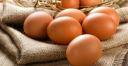 О выявлении метаболитов нитрофуранов и сульфаниламидов в яйце курином