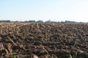 На территории Астраханской области проводится работа по выявлению нарушений, связанных с самовольным снятием плодородного слоя почвы