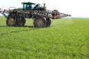 Дефицит доступной растениям серы в почвах Волгоградской области, как лимитирующий фактор в увеличении урожая и качества сельскохозяйственной продукции
