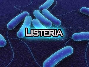 Опасное инфекционное заболевание – Листериоз