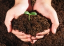 Внесение органических удобрений для повышения плодородия почвы  