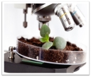 Достоинства методов биотестирования почв