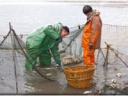 Рыбоводам Дона помогут улучшить эпизоотическую ситуацию и усилить импортозамещение рыбной продукции