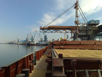 В декабре 2018 года в Ростовском морском порту исследовано порядка 350 тысяч тонн продовольственных и технических грузов