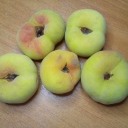 В партии импортных персиков обнаружен карантинный объект – восточная плодожорка