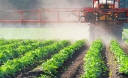 Результаты деятельности учреждения в сфере безопасного обращения с пестицидами и агрохимикатами за первое полугодие 2023 года
