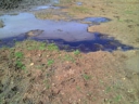Загрязнение почв нефтепродуктами в результате разлива нефти в Республике Калмыкия