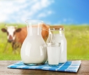 О выявлении отклонений КМАФАнМ в коровьем молоке 