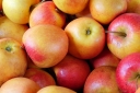 В Волгоградской области выявлена партия яблок, засоренная карантинным объектом
