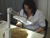Информация о результатах лабораторных испытаний образцов семян и растениеводческой продукции