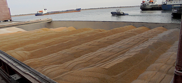 Более 284,5 тыс. тонн сельхозгрузов ушло на экспорт в июне через Ростовский речной порт