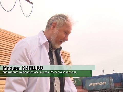 Контроль пиломатериалов в Ростове-на-Дону