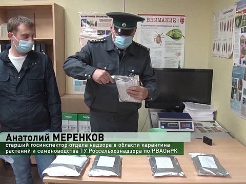 Проверка импортных семян, поступивших на территорию Российской федерации