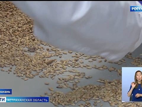 Более миллиона тонн экспортного зерна проверили в Астраханской области