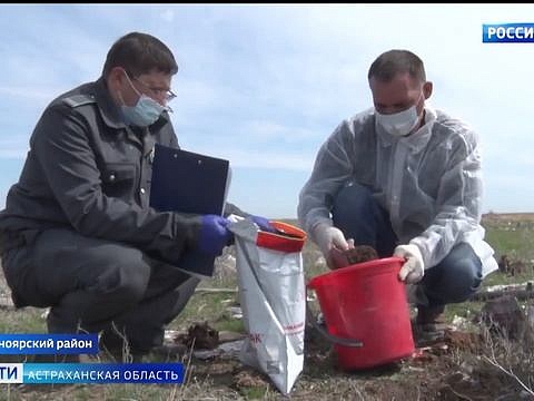 В Астраханской области Россельхознадзор обнаружил незаконную свалку 