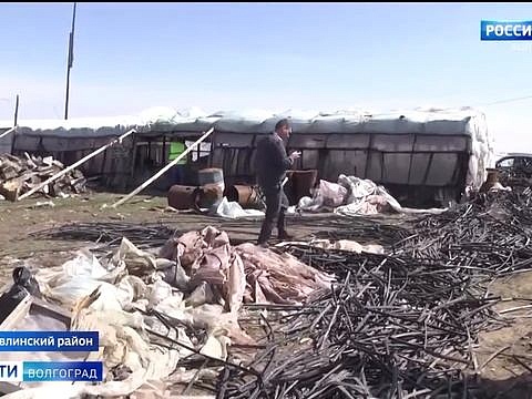 Россельхознадзор выявил захламление земель в Иловлинском районе Волгоградской области