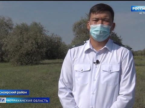 Россельхознадзор провёл в Красноярском районе рейд по выявлению опасного сорняка