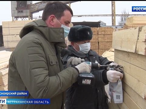 В Астраханской области специалисты Россельхознадзора обследовали 70 тысяч кубометров древесины