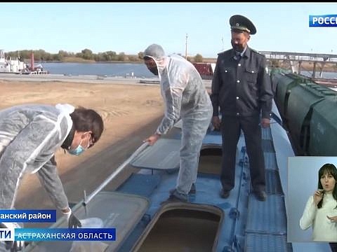 В Астраханской области специалисты Россельхознадзора проверяют экспортируемое зерно